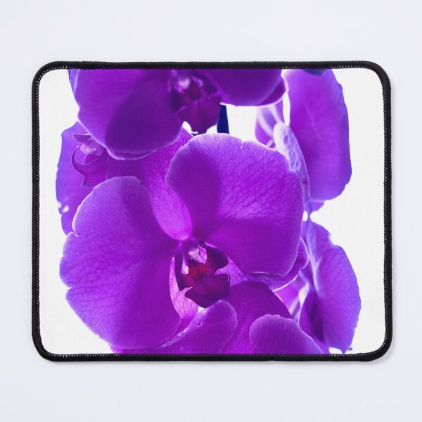 Item preview, narcissus flower designed and sold by IgorKovalenko.
