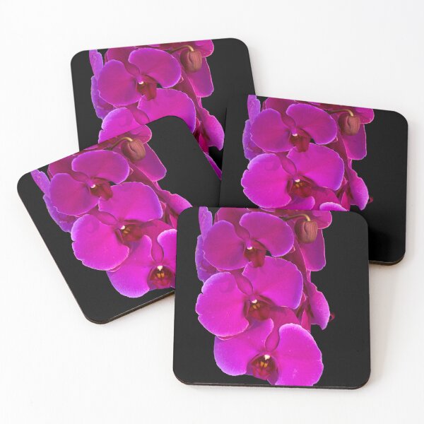 Item preview, narcissus flower designed and sold by IgorKovalenko.