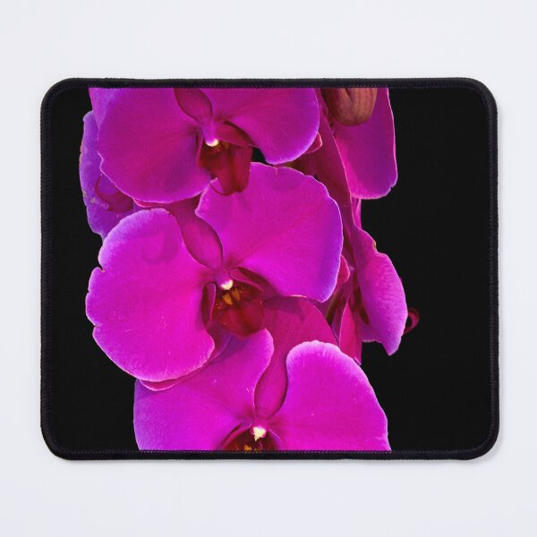 Item preview, narcissus flower designed and sold by IgorKovalenko.
