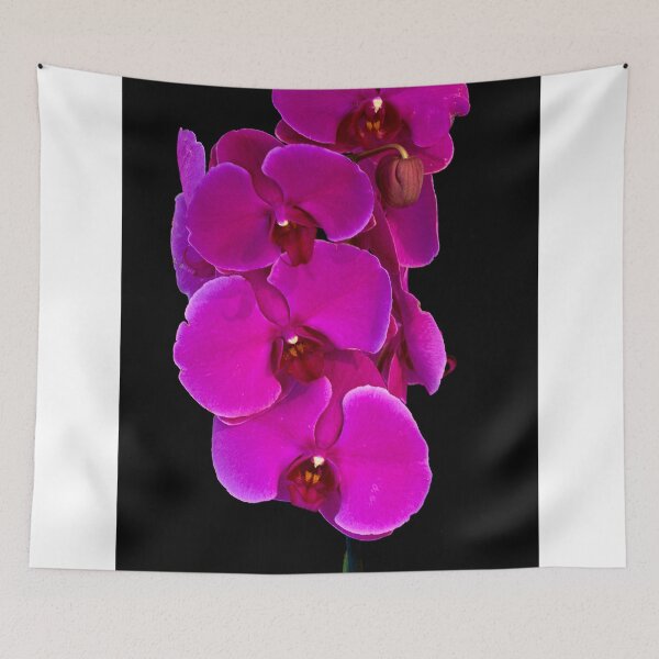 Item preview, narcissus flower designed and sold by IgorKovalenko.