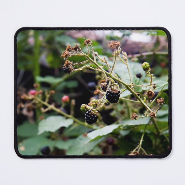 Item preview, Blackberries designed and sold by laiacrafts.