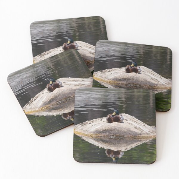 Item preview, Duck and the Rock designed and sold by Tim Dusenberry.