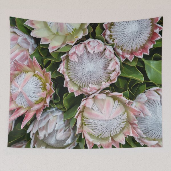 Item preview, Pale Pink King Protea Plants! designed and sold by NancyKHajjar.