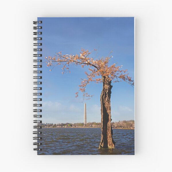 Item preview, Stumpy the cherry tree last stand designed and sold by Alex Preiss.