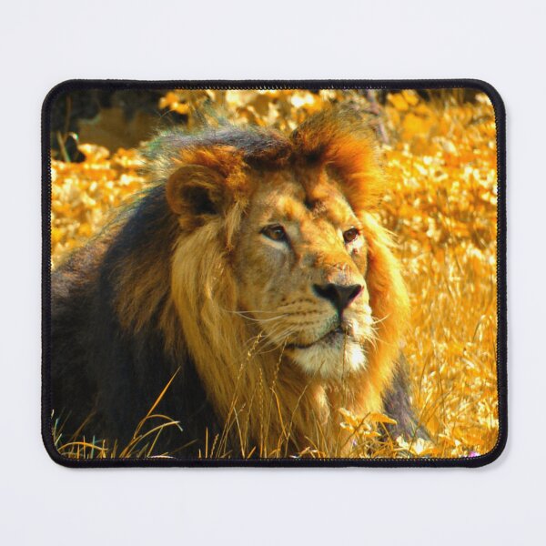 Item preview, Proud Lion designed and sold by ontological.