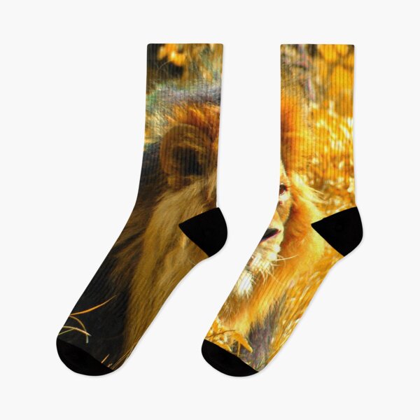 Item preview, Proud Lion designed and sold by ontological.