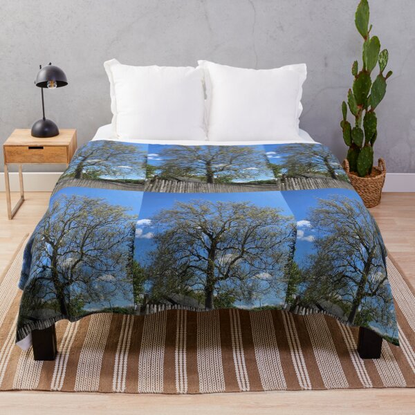 Item preview, Majestuoso árbol viejo en primavera designed and sold by Amanda1775.
