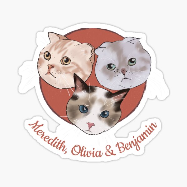 Taylor swift buy Meredith and Olivia stickers