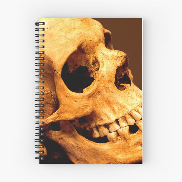 Item preview, Ancient Human Skull  designed and sold by ontological.
