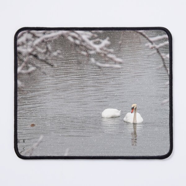 Item preview, Pair of Swans Swim in a Winter Lake designed and sold by jrtwynam.