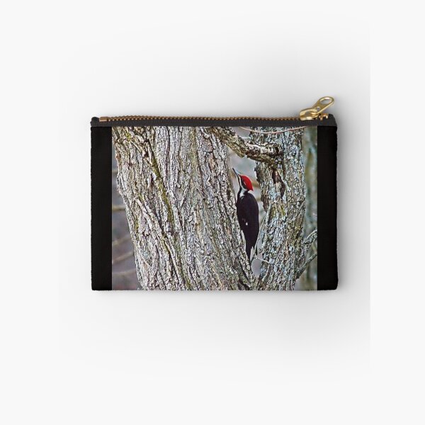 Item preview, Pileated Woodpecker designed and sold by Catherine Melvin.