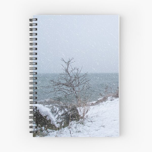 Item preview, Lone Barren Tree by the Shore in a Blizzard designed and sold by jrtwynam.