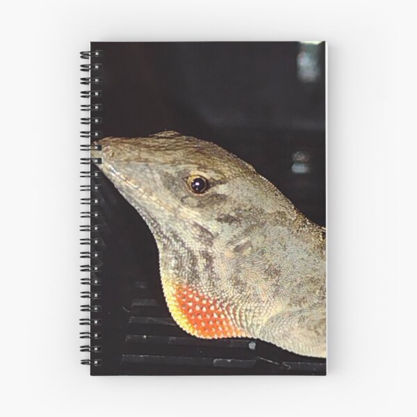 Aperçu de l'œuvre Petit Penseur (Anole marron (5)) créée et vendue par RosetheOtter.