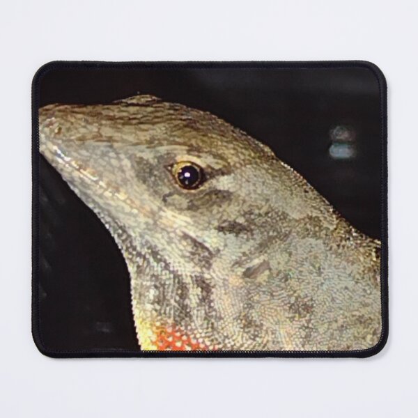 Aperçu de l'œuvre Petit Penseur (Anole marron (5)) créée et vendue par RosetheOtter.