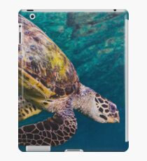 Sea Turtle iPad Case/Skin