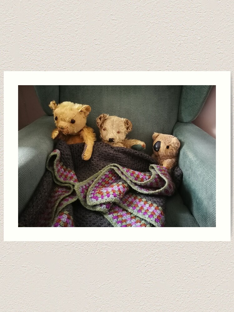 koala teddies