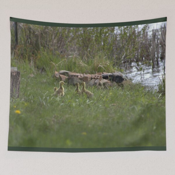 Item preview, Canada goslings  designed and sold by Phoebew03.