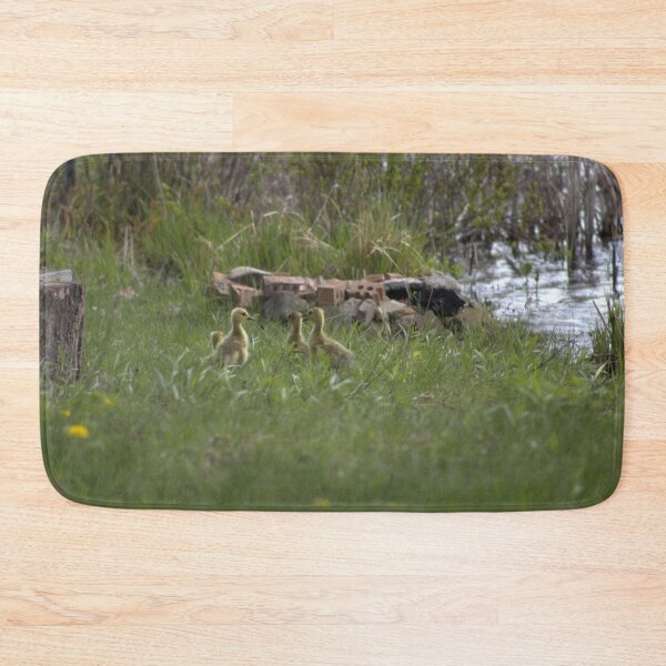 Item preview, Canada goslings  designed and sold by Phoebew03.