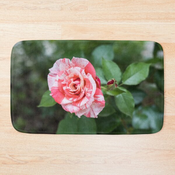 Item preview, Candy Cane Rose - A Splendid Variegated Bloom and Bud to Delight You designed and sold by Georgia Mizuleva.