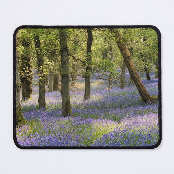 Item preview, Kinclaven, May 2024 (3) designed and sold by ShinyPhoto.