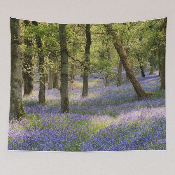 Item preview, Kinclaven, May 2024 (3) designed and sold by ShinyPhoto.
