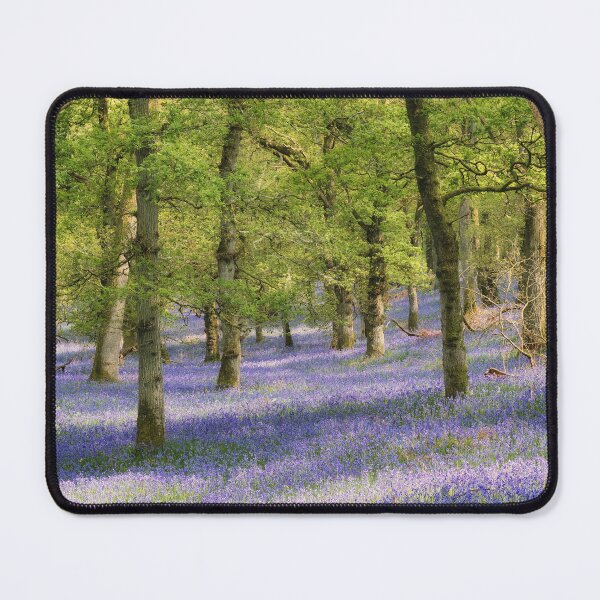 Item preview, Kinclaven, May 2024 (2) designed and sold by ShinyPhoto.