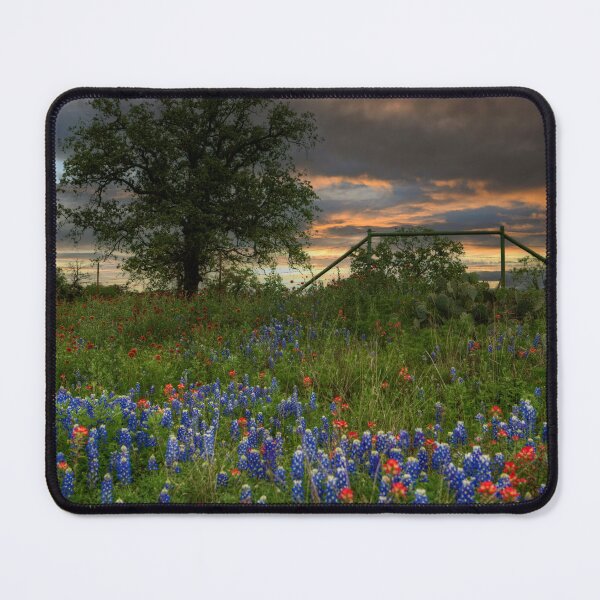 Item preview, April in the Heart of Texas designed and sold by James Hoffman.