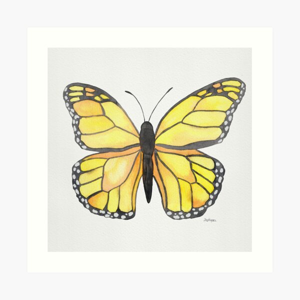 Yellow Butterfly Art Print