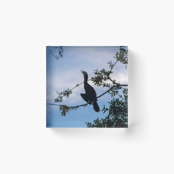 Item preview, Cormorant Bird Perches in a Tree designed and sold by jrtwynam.