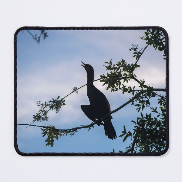 Item preview, Cormorant Bird Perches in a Tree designed and sold by jrtwynam.
