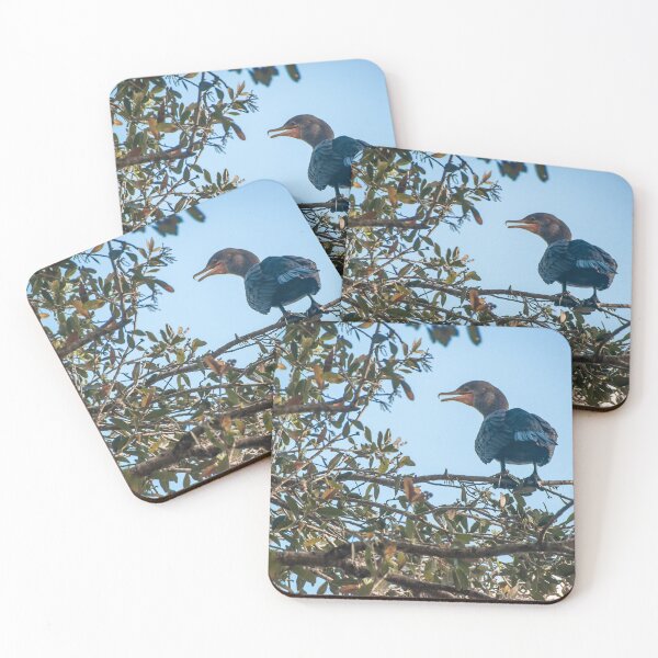 Item preview, Cormorant Bird Perches in a Tree 2 designed and sold by jrtwynam.