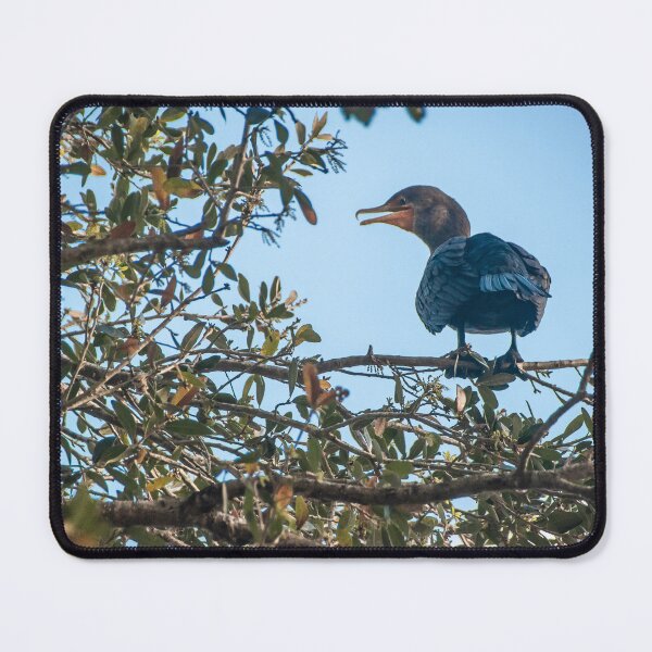 Item preview, Cormorant Bird Perches in a Tree 2 designed and sold by jrtwynam.