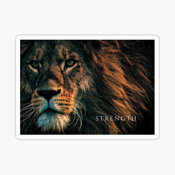 Strength Sticker
