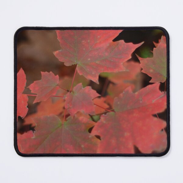 Item preview, Maple Leaves designed and sold by kry.ative.