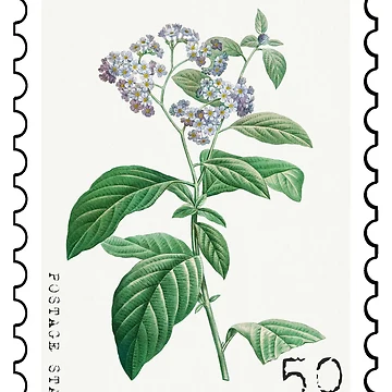 Artwork thumbnail, Forget Me Not Stamp by RabbitK