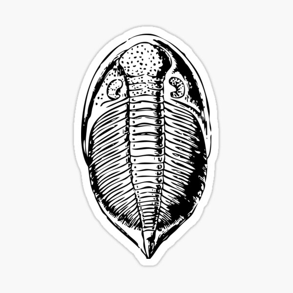 Vista previa del artículo con la obra «trilobites», diseñado y vendido por DoodleDashCollective.