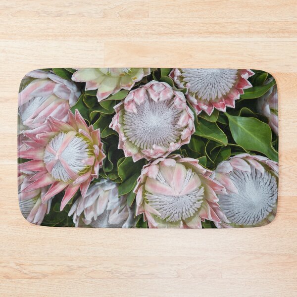 Item preview, Pale Pink King Protea Plants! designed and sold by NancyKHajjar.