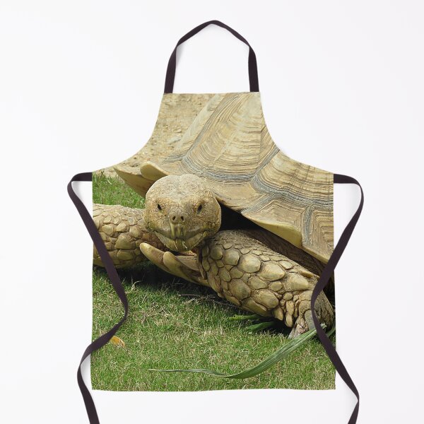Item preview, African Spurred Tortoise designed and sold by Linda Walsh.