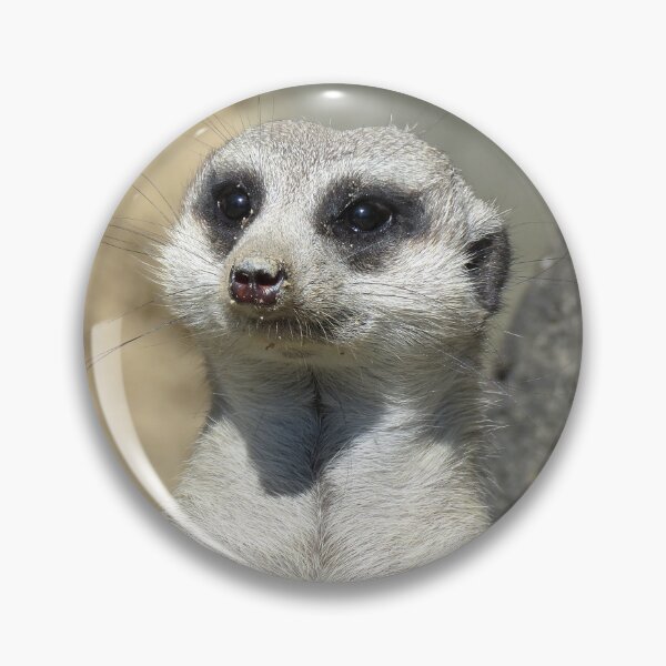 Item preview, Meerkat Head Close-up designed and sold by Linda Walsh.