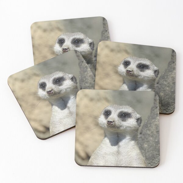 Item preview, Meerkat Head Close-up designed and sold by Linda Walsh.