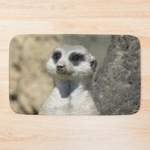 Item preview, Meerkat Head Close-up designed and sold by Linda Walsh.