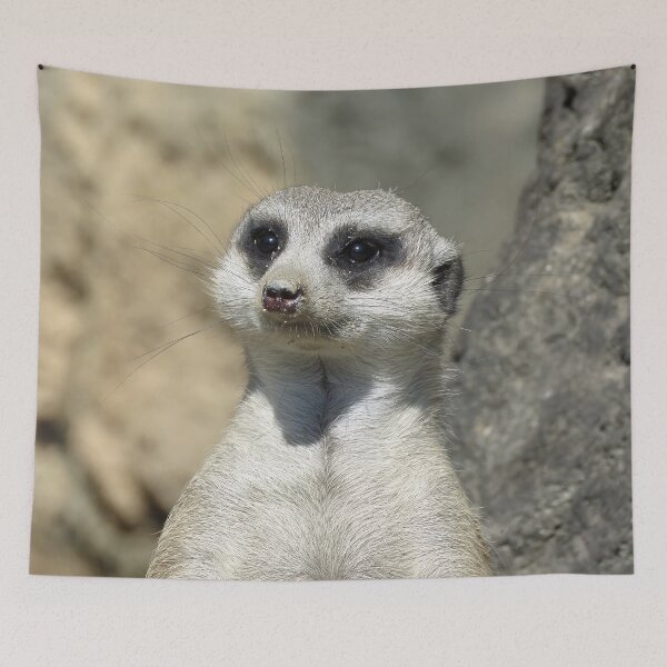 Item preview, Meerkat Head Close-up designed and sold by Linda Walsh.