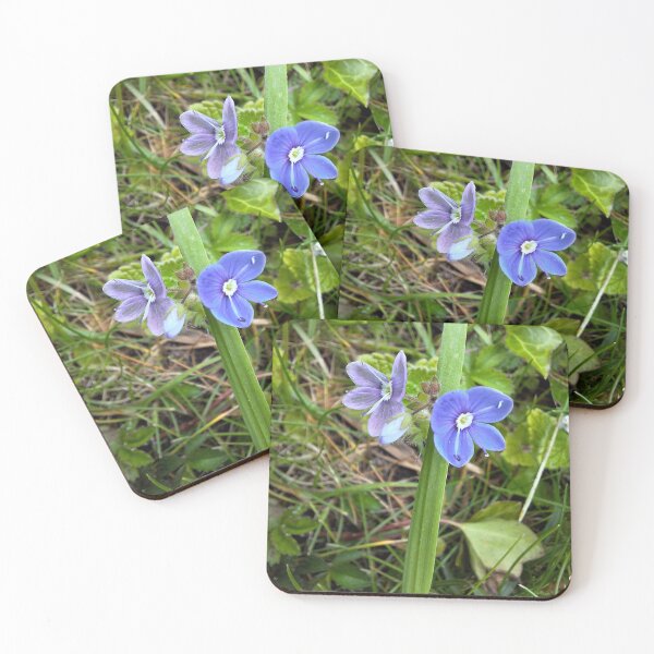 Item preview, Birds-eye speedwell designed and sold by marallahfaith.