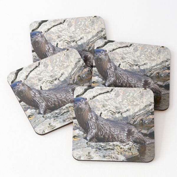 Item preview, Sea Otter,Fraserburgh,NE Scotland designed and sold by Derren Jones.