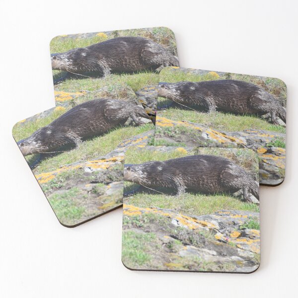 Item preview, Sea Otter ,Fraserburgh ,NE Scotland  designed and sold by Derren Jones.