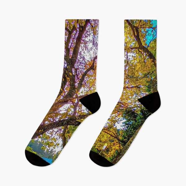 Item preview, Autumn Sunset along the Calder - Woodend, Victoria, Australia designed and sold by Steven Jodoin.