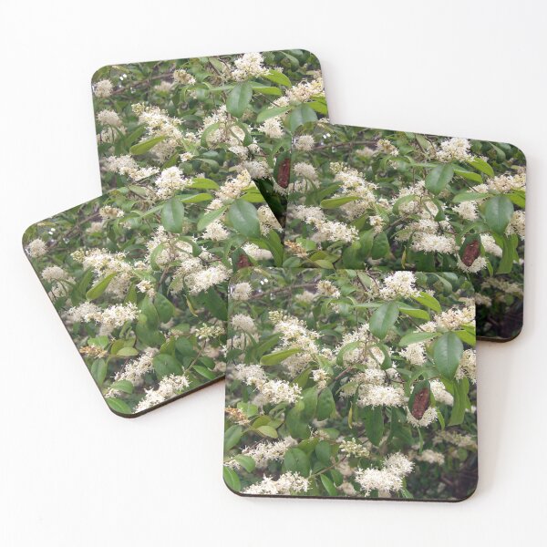 Item preview, Flowering Privet designed and sold by gistinker.