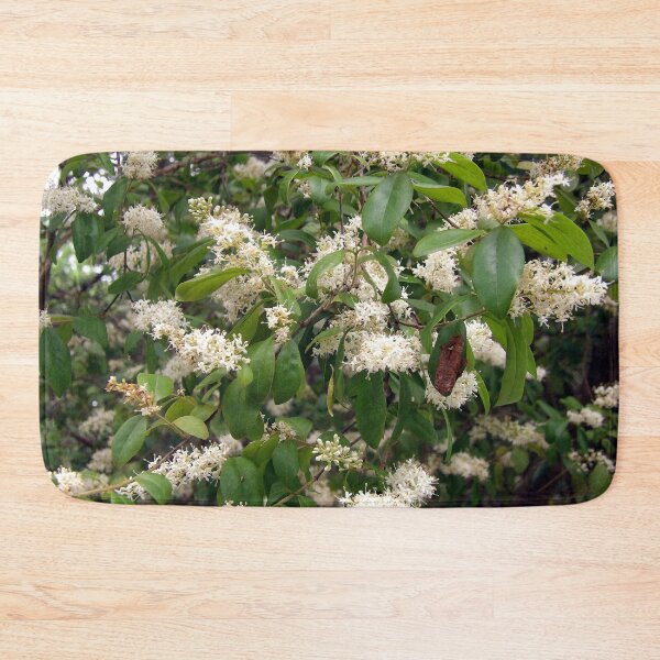 Item preview, Flowering Privet designed and sold by gistinker.
