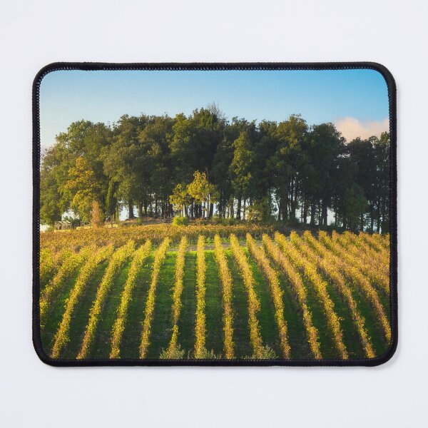Item preview, Group of trees on a hill above a vineyard. Chianti region, Italy designed and sold by Stefano Orazzini.