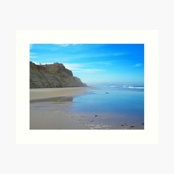 Torrey Pines Beach Art Print